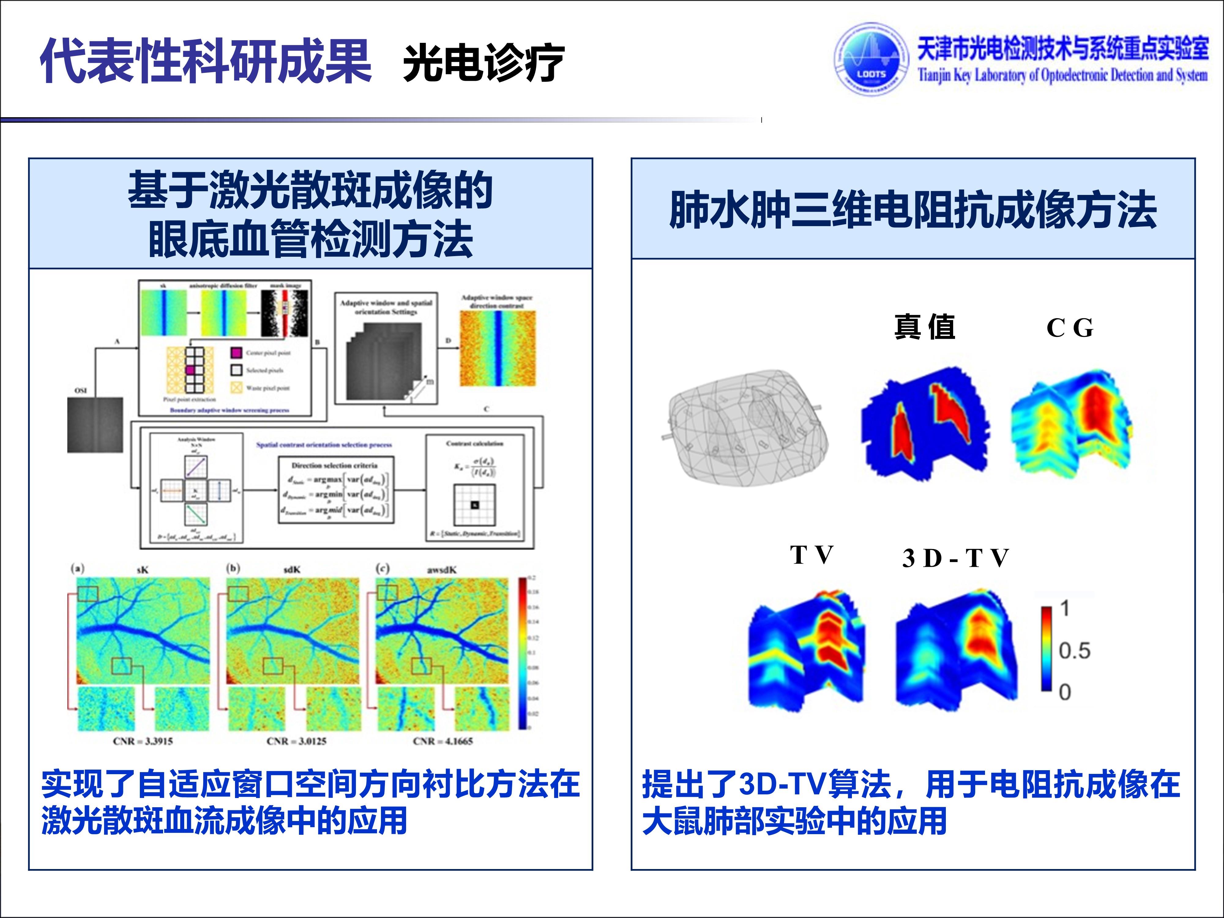 代表性科研成果